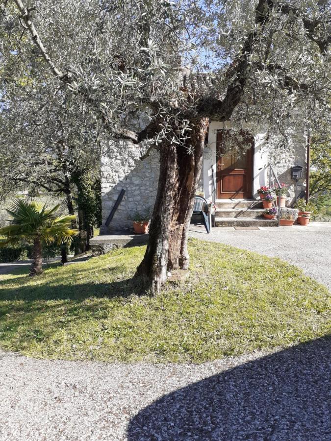 La Casetta Di Vacone Εξωτερικό φωτογραφία