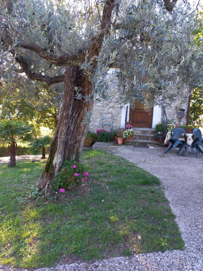 La Casetta Di Vacone Εξωτερικό φωτογραφία